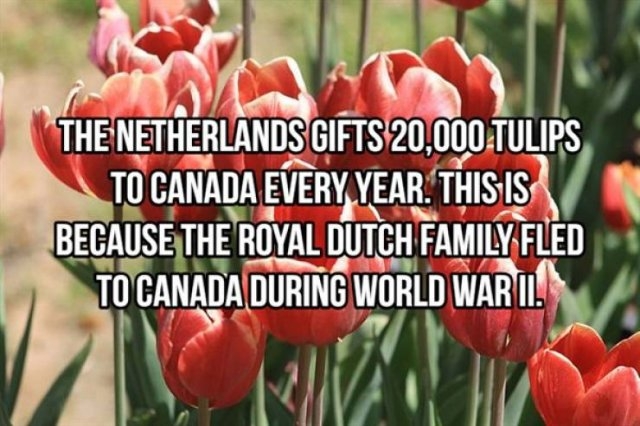 interestingfacts368_019