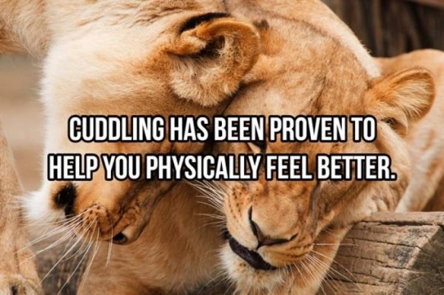 interestingfacts368_020