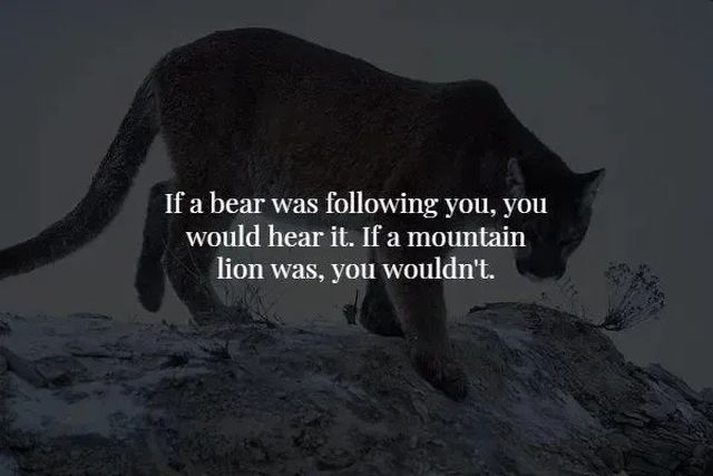 interestingfacts369_002