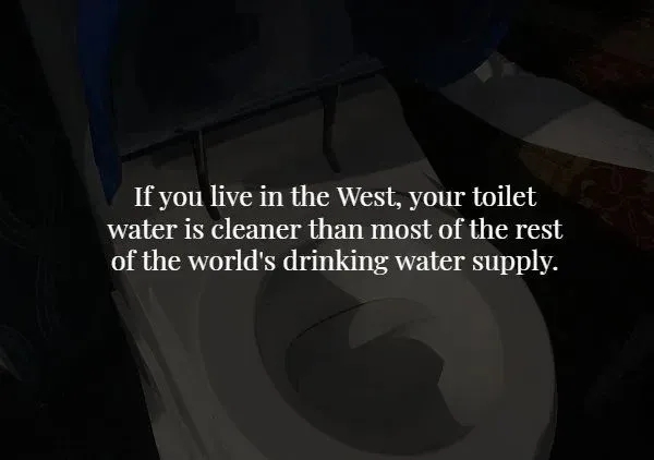 interestingfacts369_003