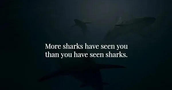 interestingfacts369_010