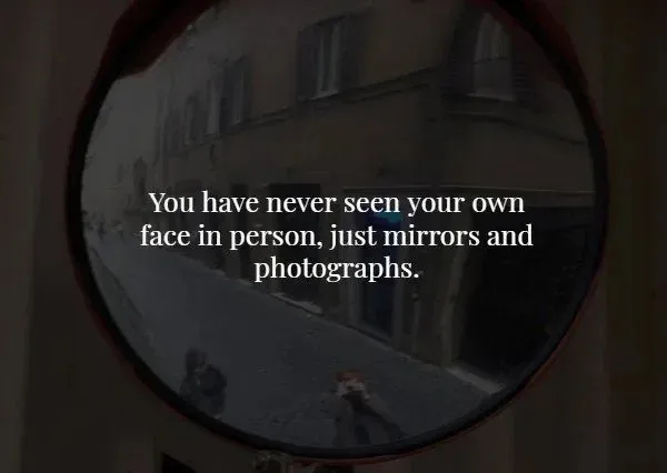 interestingfacts369_012
