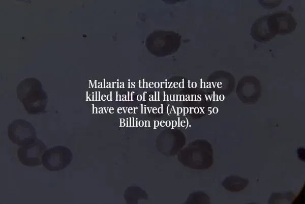interestingfacts369_015