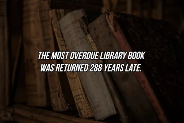 interestingfacts369_020