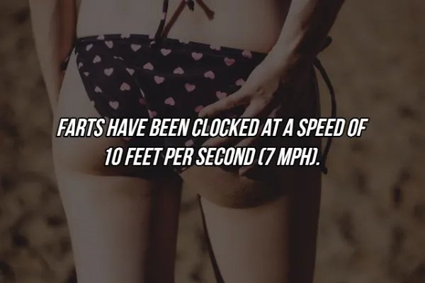 interestingfacts369_024