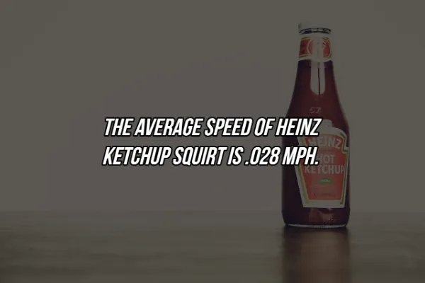 interestingfacts369_026
