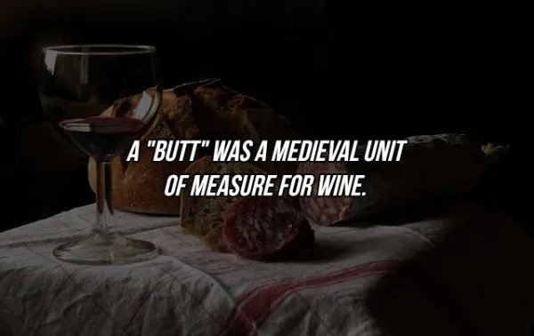 interestingfacts369_027