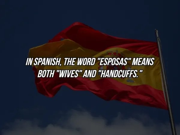 interestingfacts369_029