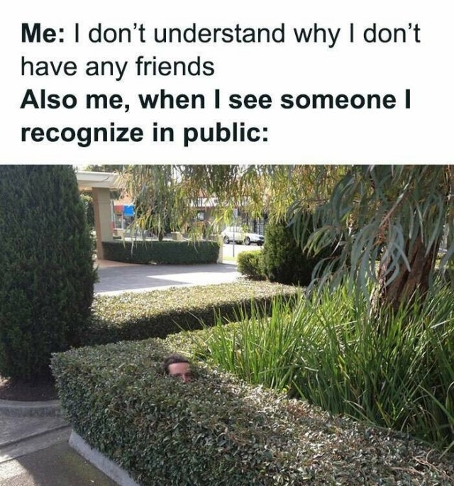 introverts16_034