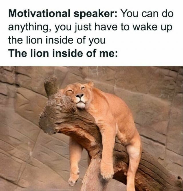 introverts16_048