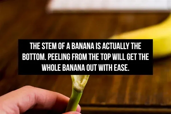 lifehacks57_014