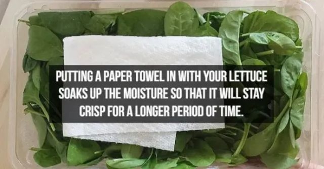 lifehacks57_017