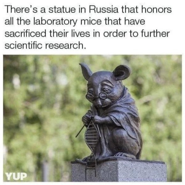 onlyinrussia25_009