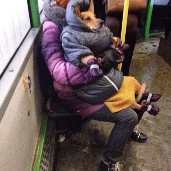 onlyinrussia25_023