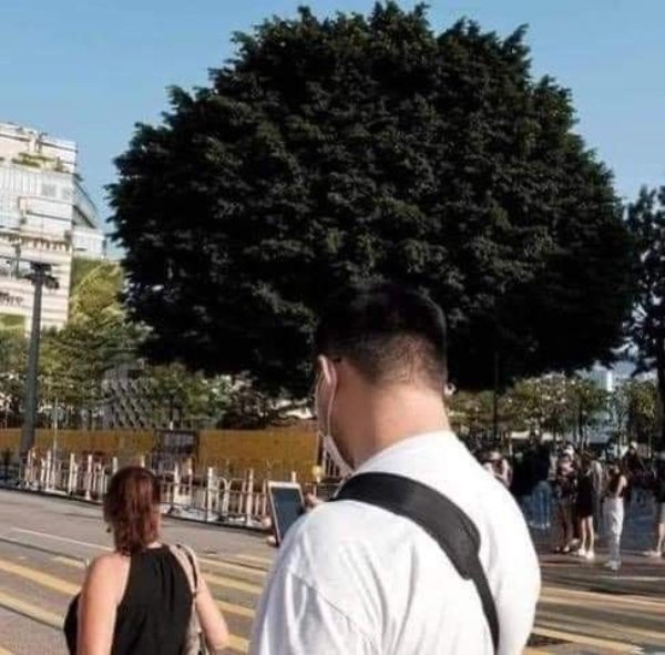 opticalillusions22_009