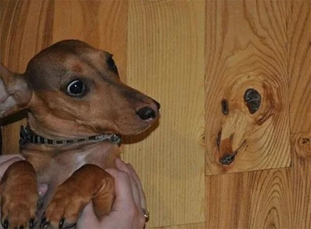 opticalillusions22_032