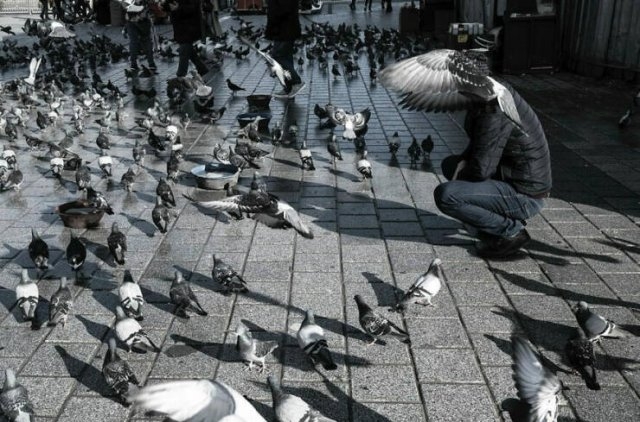 perfectphotos213_036