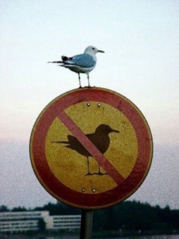 randompics1982_069