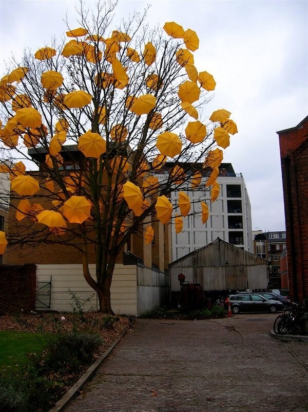 randompics1983_064