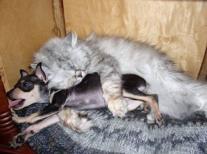 randompics1988_059