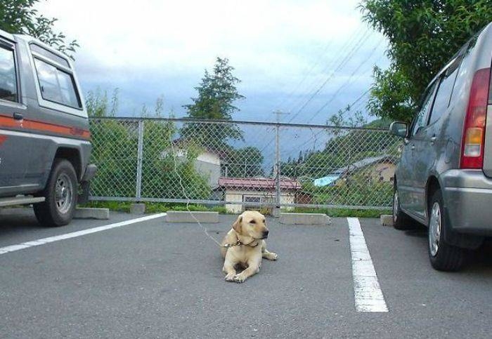 randompics1995_004