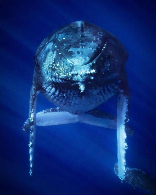 randompics2001_005