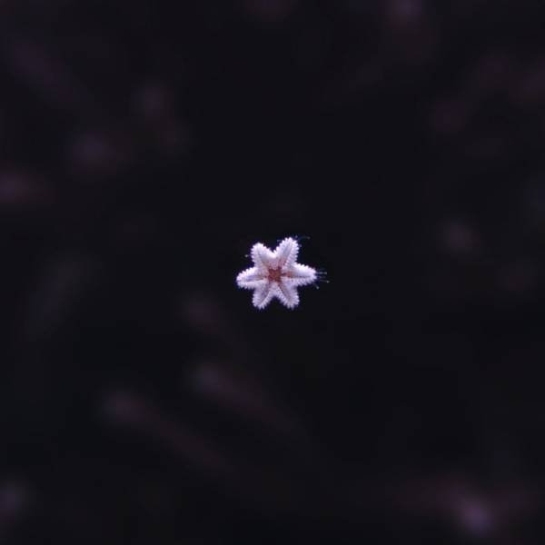 randompics2001_015
