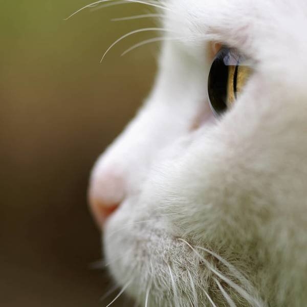 randompics2001_020