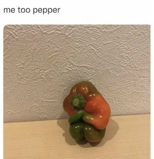truememes74_007