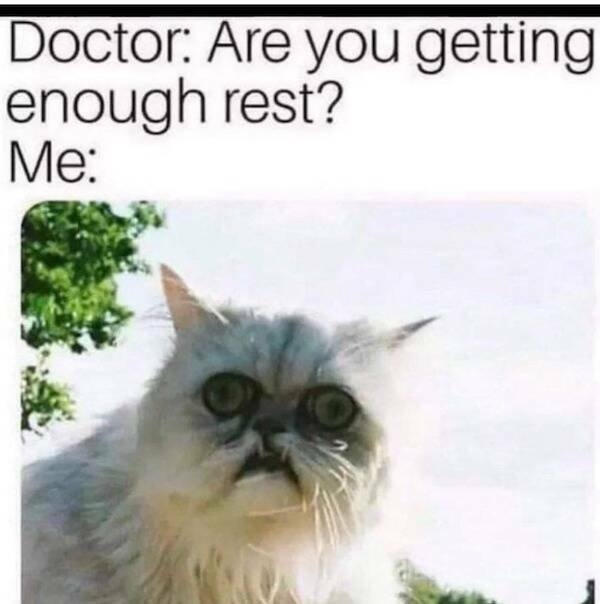 truememes74_010