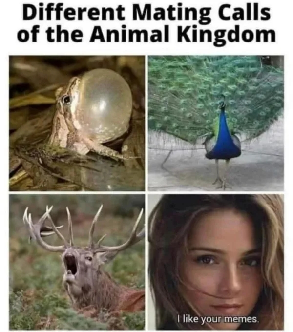 truememes74_030