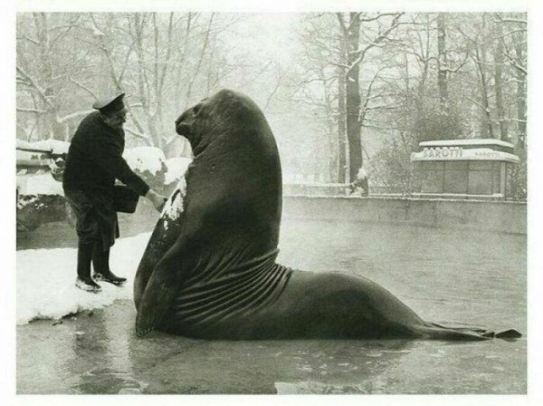 vintagephotos53_023