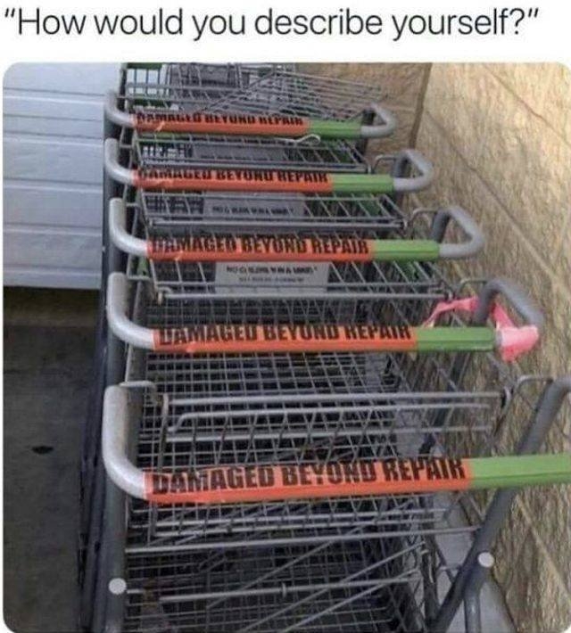 workmemes51_031