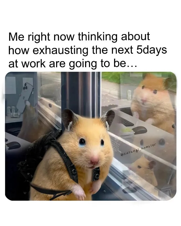 workmemes53_045