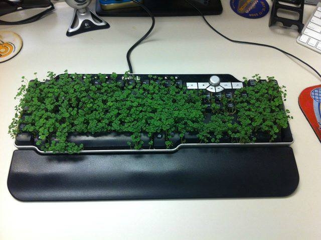 workmemes54_023