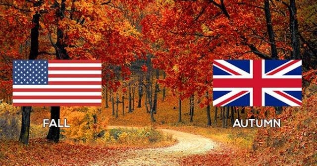 britishvsamericanenglish_002
