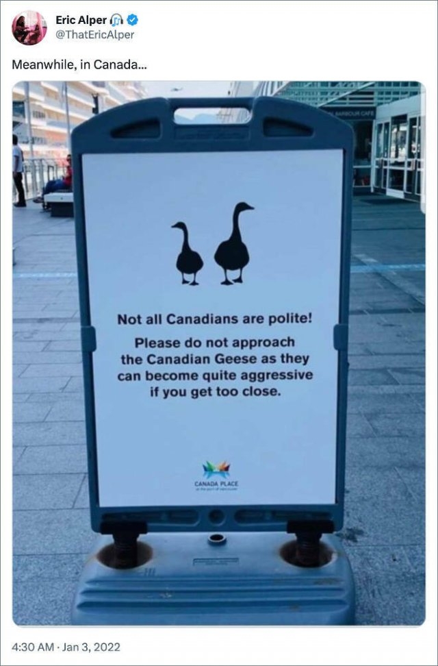 canadamemes2_002
