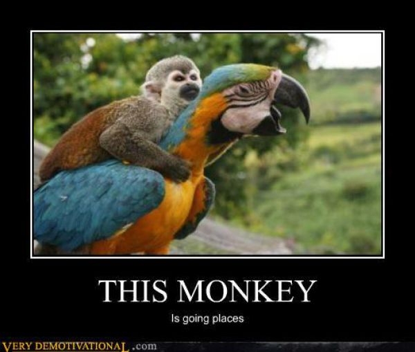 demotivational_016