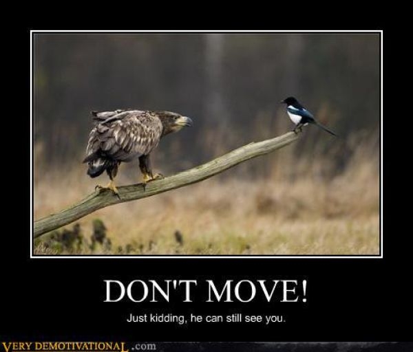 demotivational_048