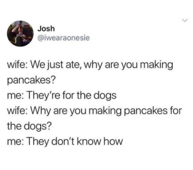 dogs74_006