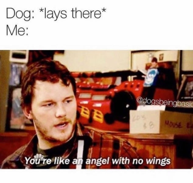 dogs74_009