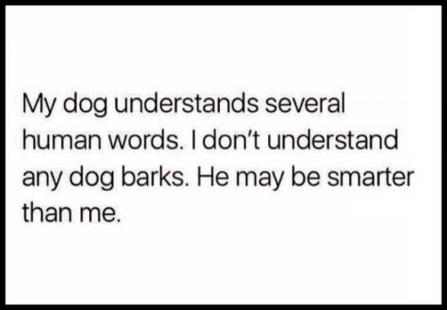 dogs74_014