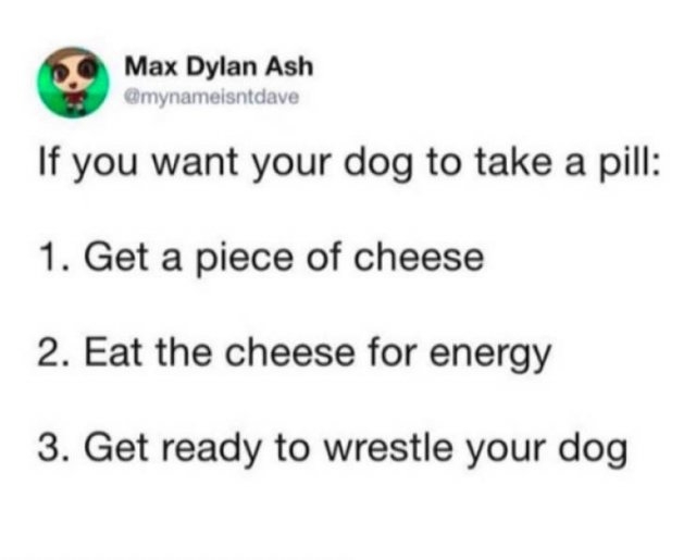 dogs74_015
