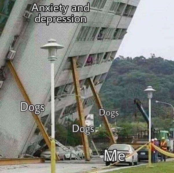 dogs74_018