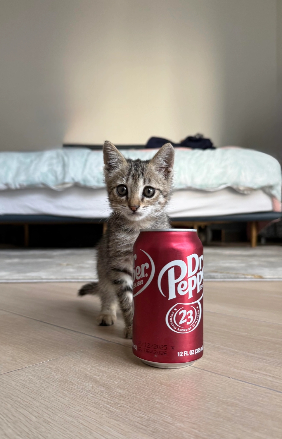 funnyanimals187_043