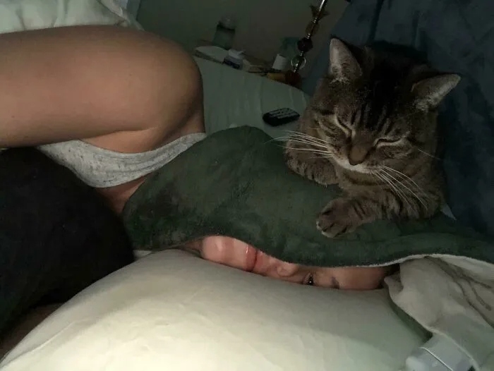funnycats116_025