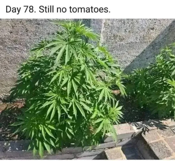 funnyjokes20_007 funnyjokes20_007