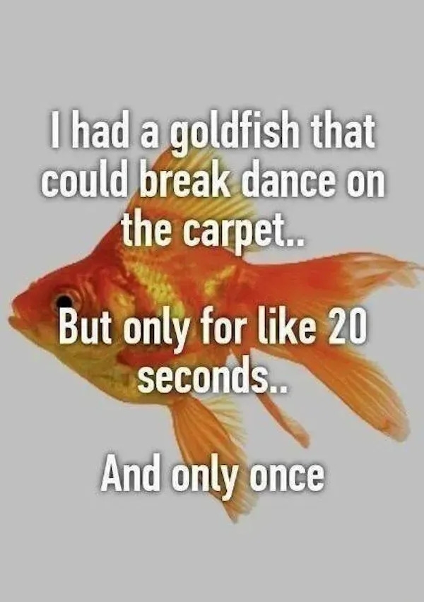 funnyjokes20_029 funnyjokes20_029