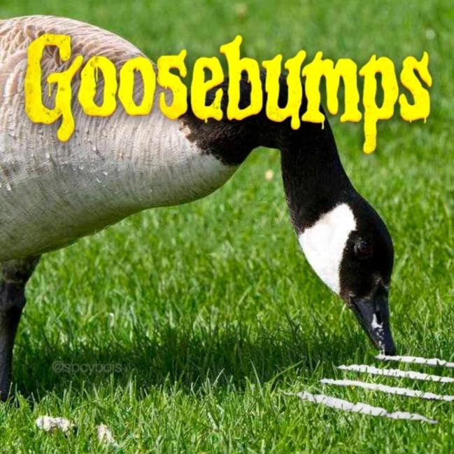 funnyjokes20_039 funnyjokes20_039