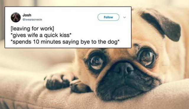 funnymemes530_007